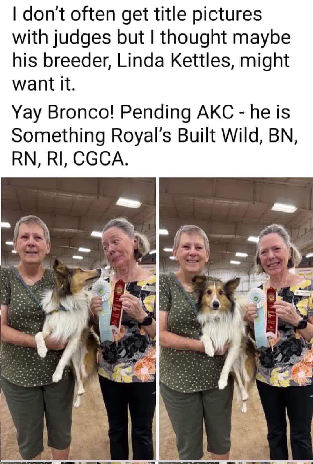 Brag Photo Bronco