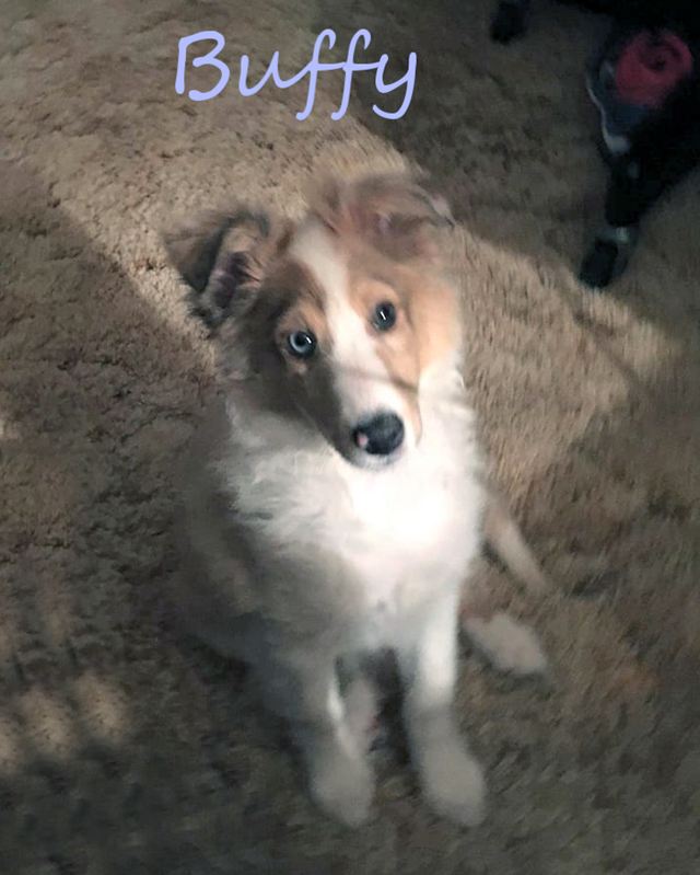 Brag Photo Buffy